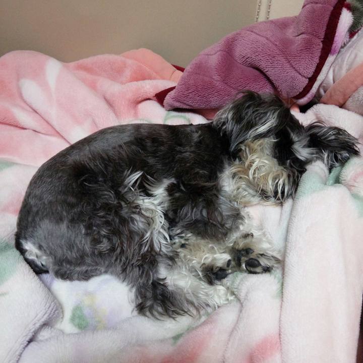 50320c52 4f3a 486e 8803 40bcb2ee2268