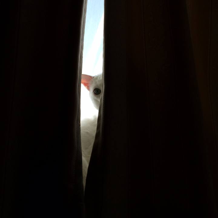 50322e94 194f 4543 a996 af1c69e0ced6