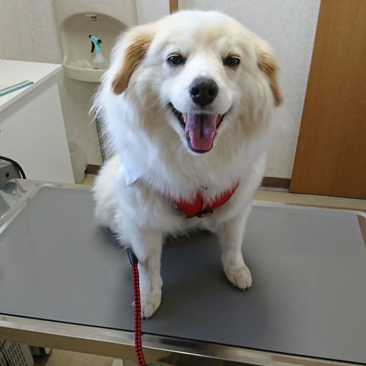 50328b12 37eb 4a6b ba13 30e64502995b