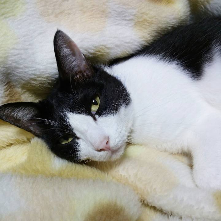 5032d912 0c73 4f0e 903c 839e4aabf2dd