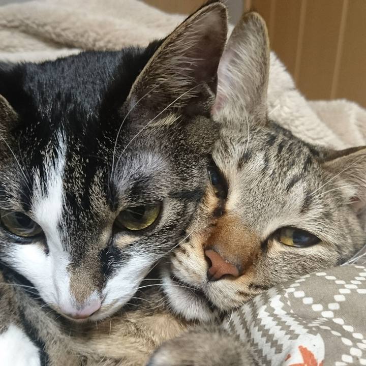 5032ed3b 94f9 43b4 afde e7e843905ecb