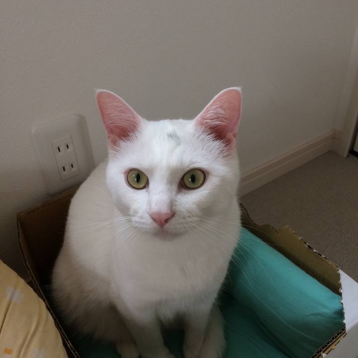 50330eab 2f02 48ff b81c 2538d04b203d