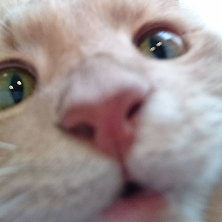 50334379 a4c2 45f2 9f90 1fb77a6efb1e