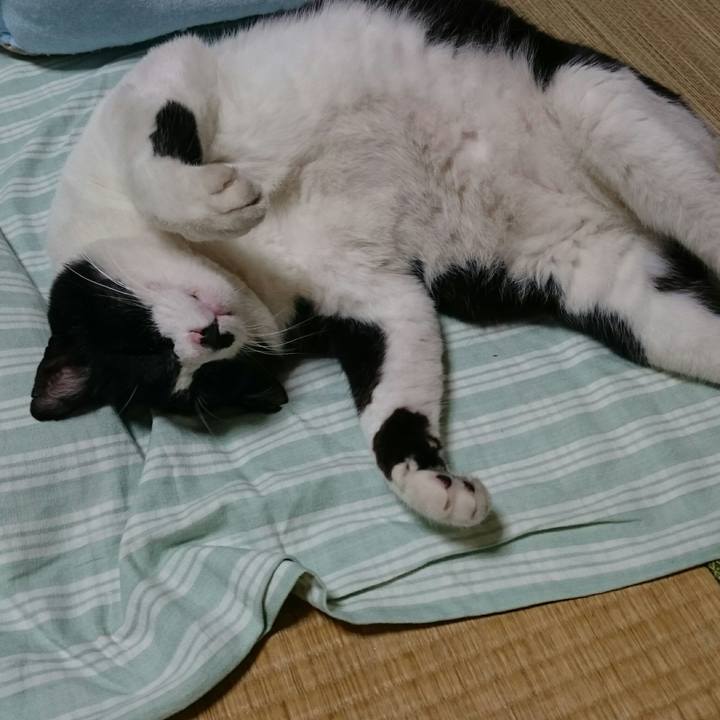 50335c1a d344 461d 8e50 2cebd660c8be