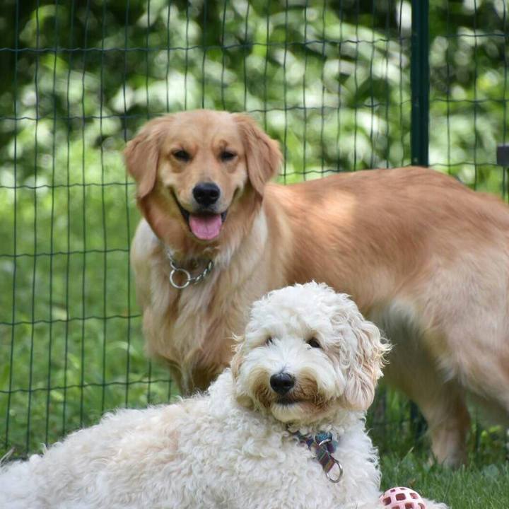 5033e2e6 0836 45bb b9fc 0e15d47913b5