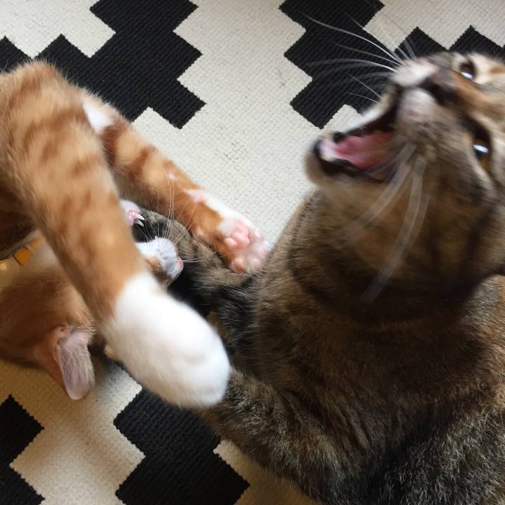 5033eb81 24da 4c48 ba4a 58c9edd22f2e