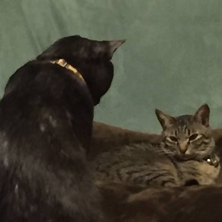 5033eebb 134d 4c55 925d d1be7409b9ef