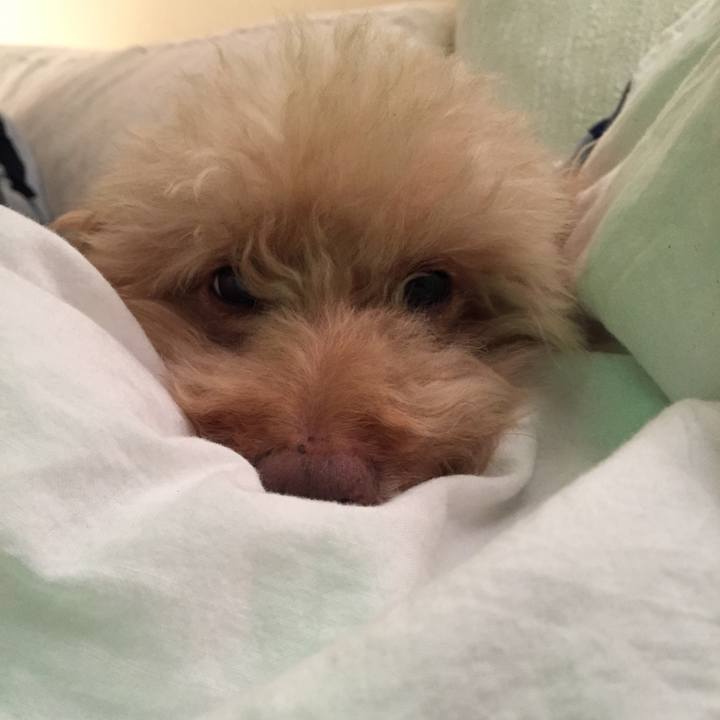 503422c7 20c6 4a1f 8619 a3de23b40e86