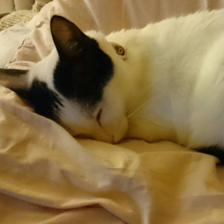 50342c13 e8b2 413c 8c05 666619351140