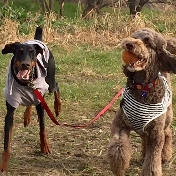 5034501b a555 4e80 b711 c459ce0ca2e7