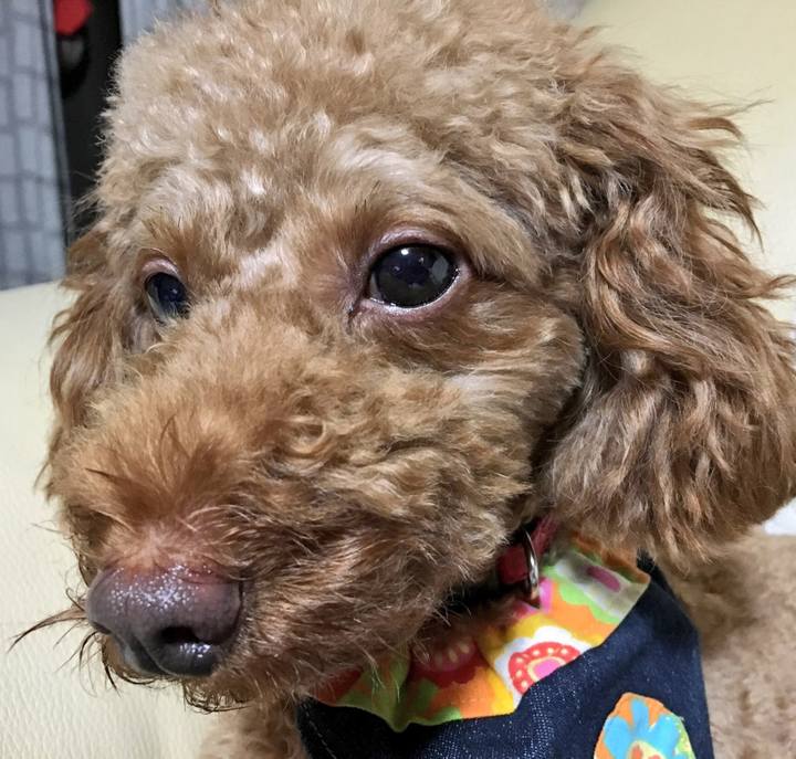 50345b9c 1330 47c3 a572 0d8864dad42c