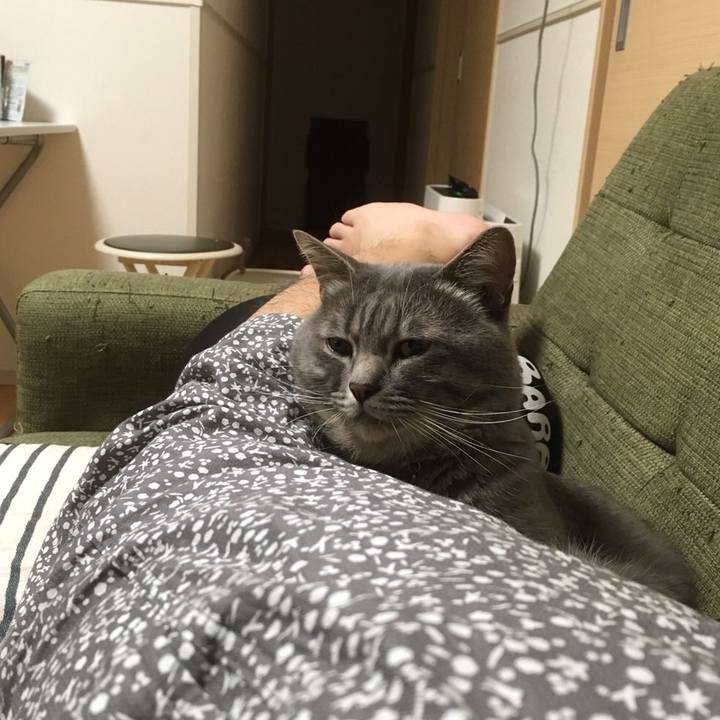 50347d25 d9b1 4ef3 8bb8 fc44c3d8fe51