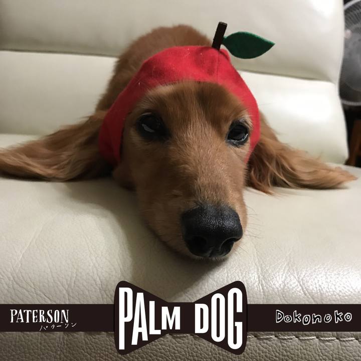 5034e150 a32c 451d 9982 74b0b18e23a0