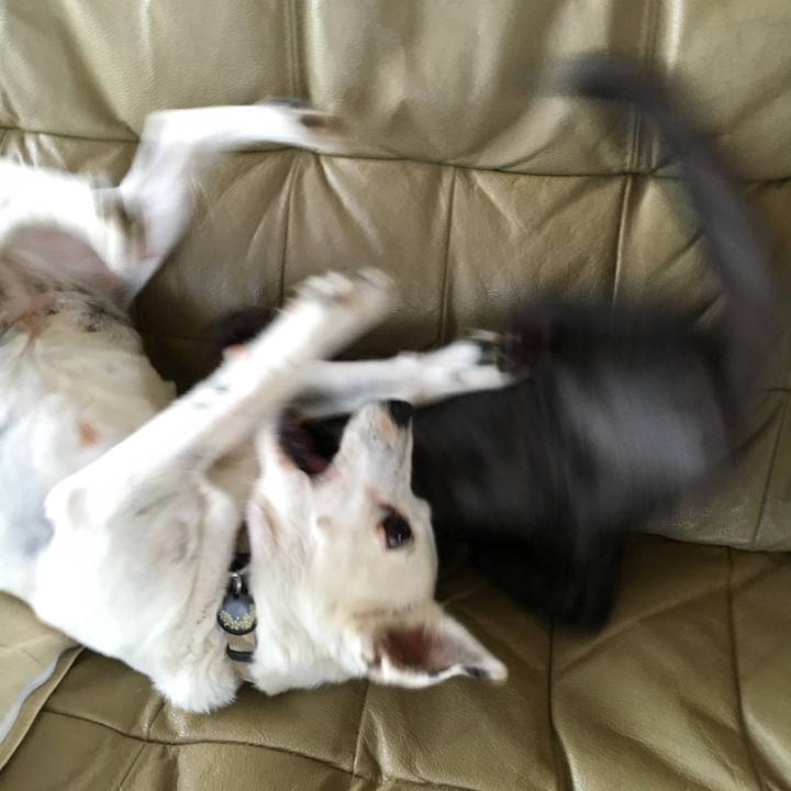 5034e437 3baf 4b10 aa27 981a59838f82