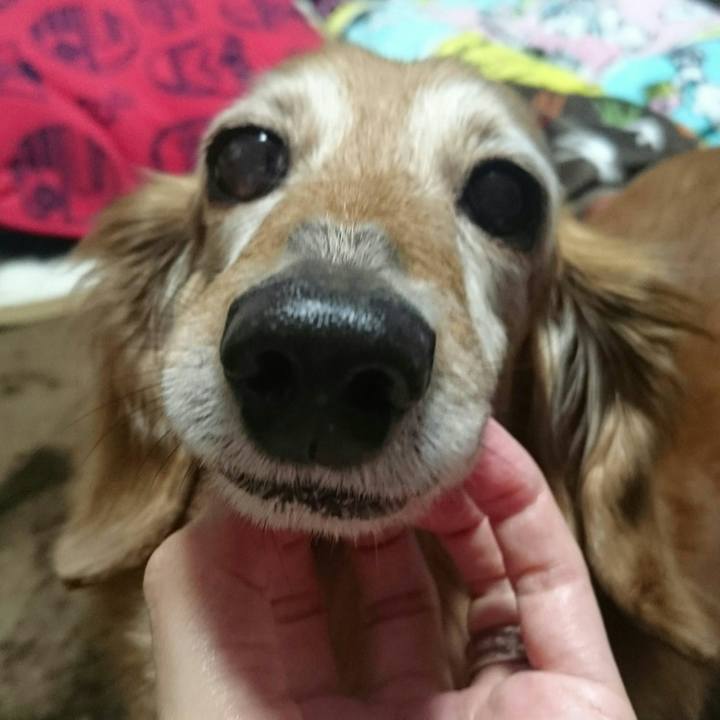 50359369 e43c 490a b9e8 0720f23c65a5