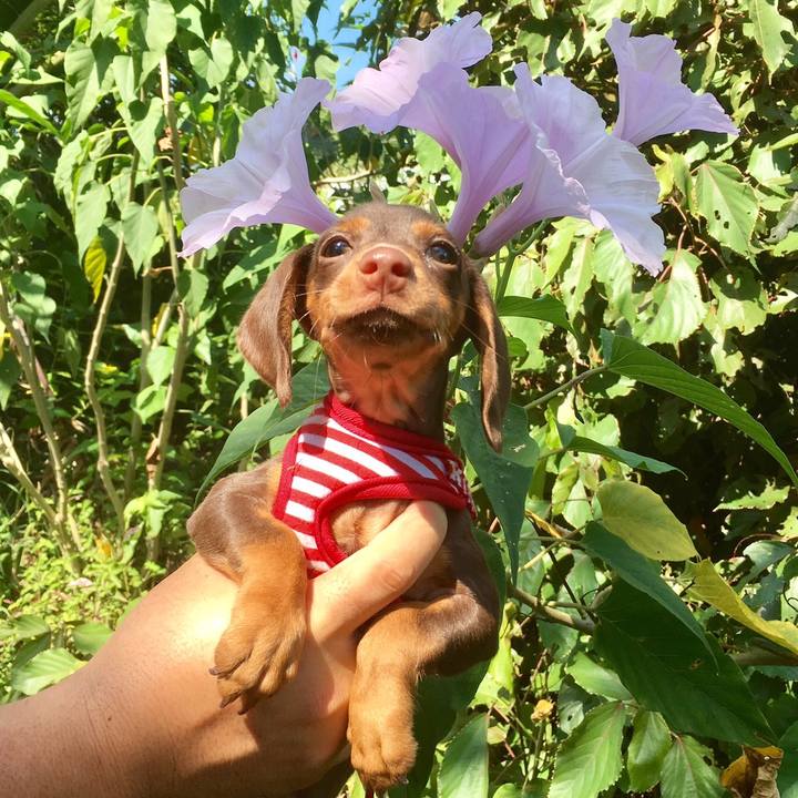 503641ae 338e 487c 9037 b1d33bbc1f2a