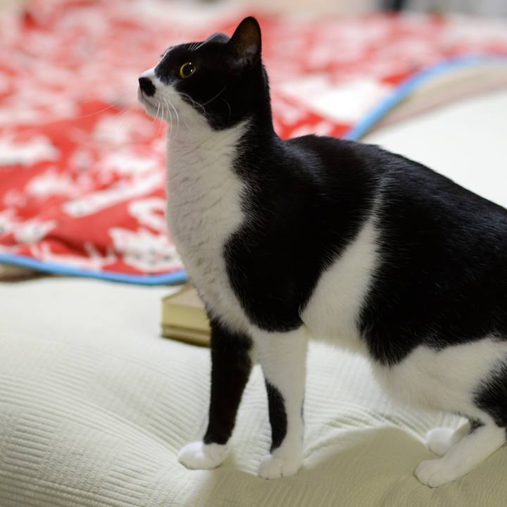 50364a56 7d95 42f6 8099 a5562e99314f