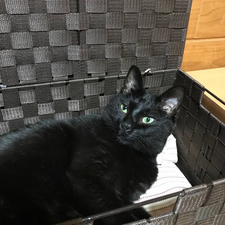 50367be5 d621 474f a98d b0cba819a332