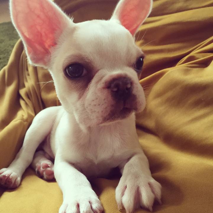 5037c28e 62c1 4eee b2ea b8984cc4bd54