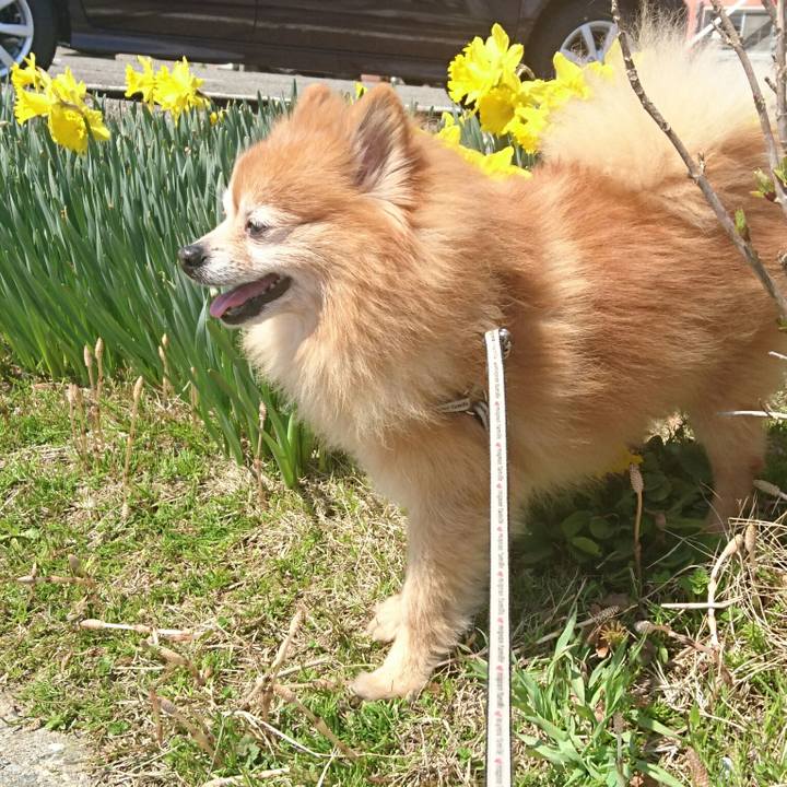 50381e3a 2230 4314 b4d6 e48d79494005