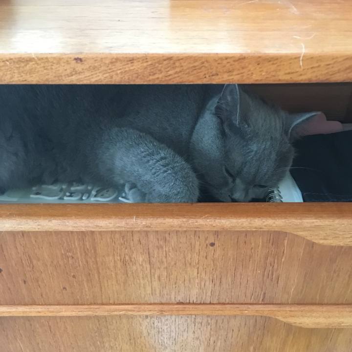 5038b055 761f 405c 83aa afb65f2cc524