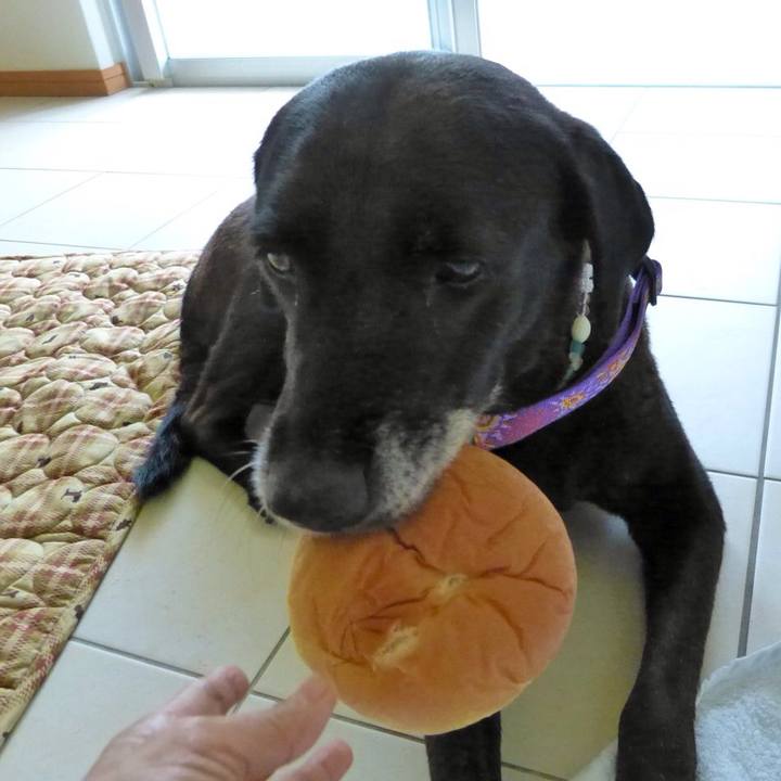 5038f17d 8927 4670 9df0 e012a6d0c0da