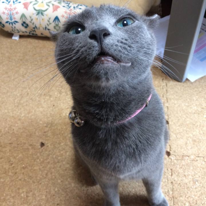 5038f245 844f 44d6 b7a6 4fa41245812b