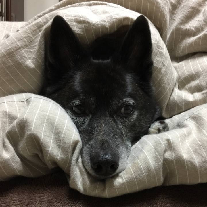 503913db 97a0 42fe 92d7 555a1ed3a83b