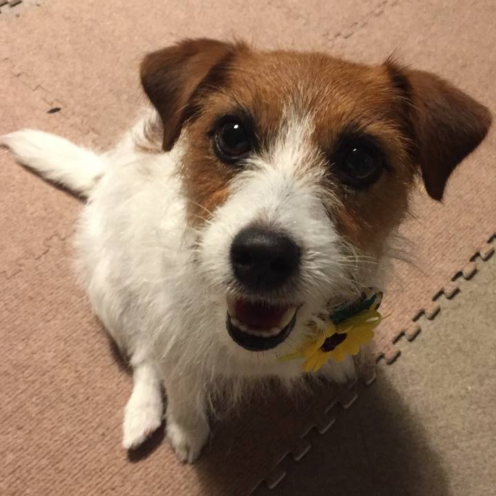 5039325b 3b27 4205 8c34 5ecd0981baa9