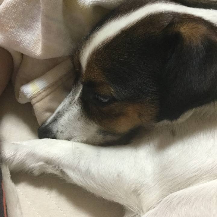 50398341 20bf 4131 ac2d 9bd14e19a797