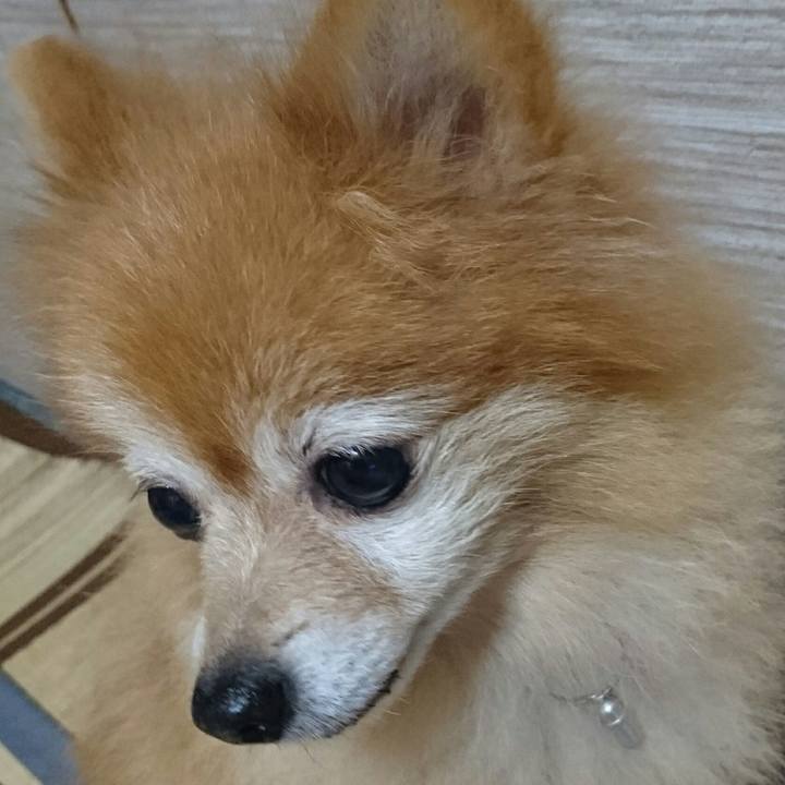 50399630 f76d 4bb7 a464 c84eca673923