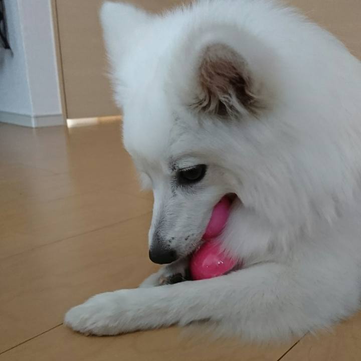 5039b236 df17 4b6a 810c 8124d067e1b0