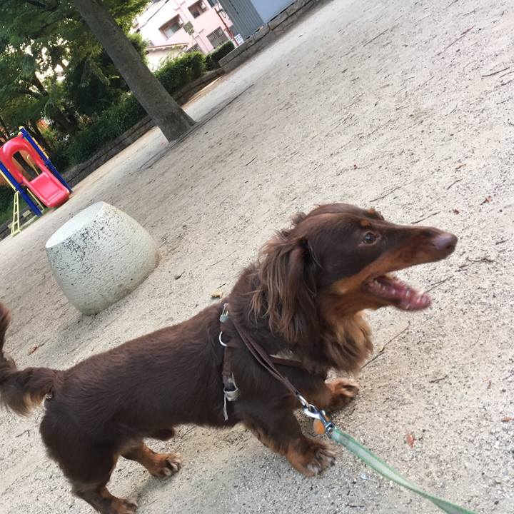 5039bbd2 fad4 4890 ba65 0a80c46fe5d3