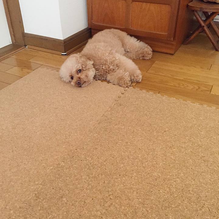 503ac8ad f38a 4548 ac8e ea9a94aa9390