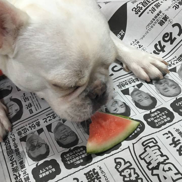 503b4b00 df10 4b20 8f90 0c886f9c60a2