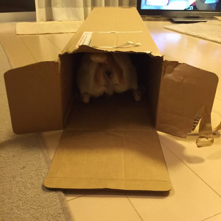 503b505a 5c3a 47b6 bfd1 ed8eb35c2d5b