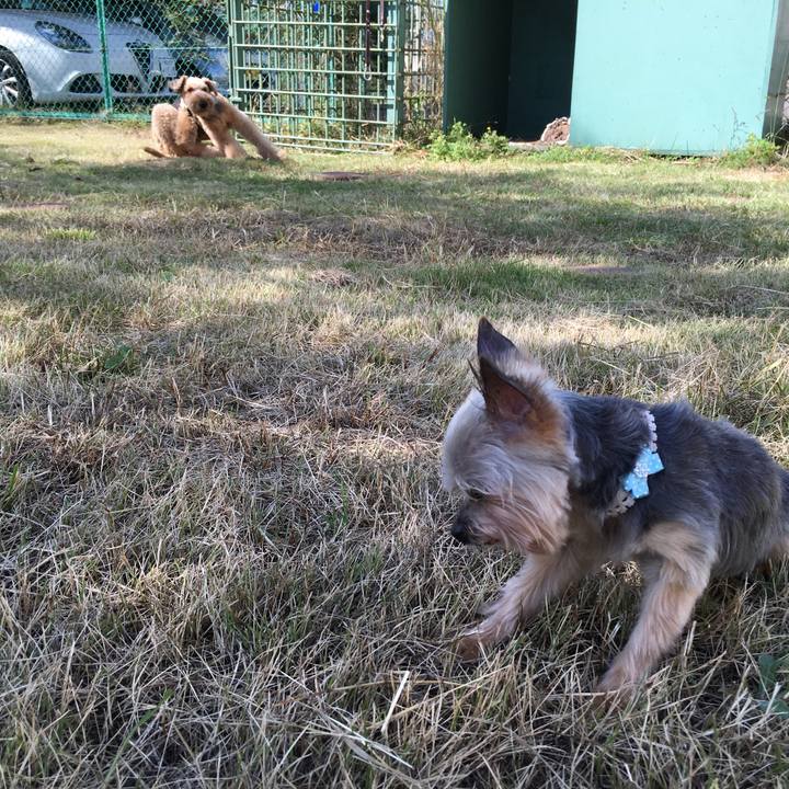 503b78a7 52be 4a50 970a 7ef06e66f513