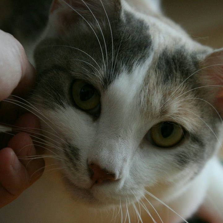 503b7d9a 8045 42b3 b955 e8861177ecc8