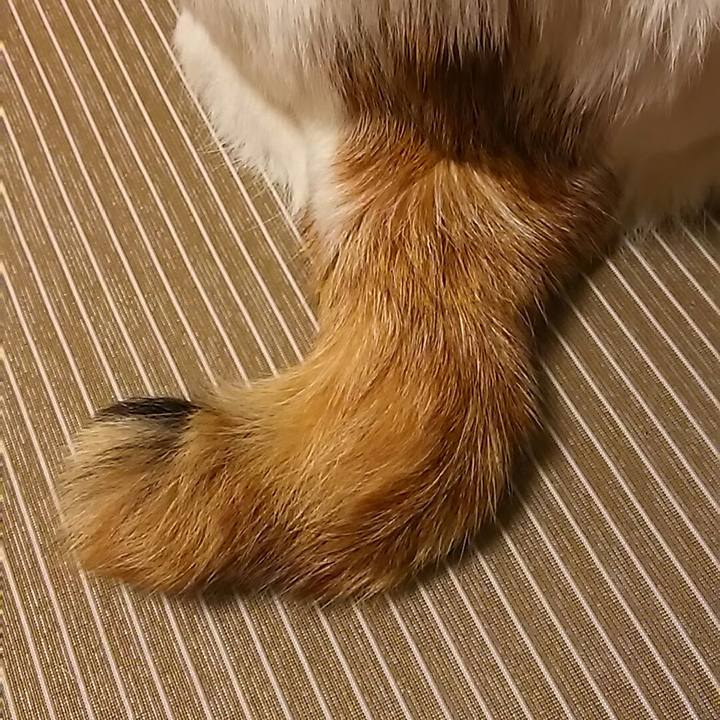 503c27b9 a3fd 4138 b21c 8d40f4b026fb