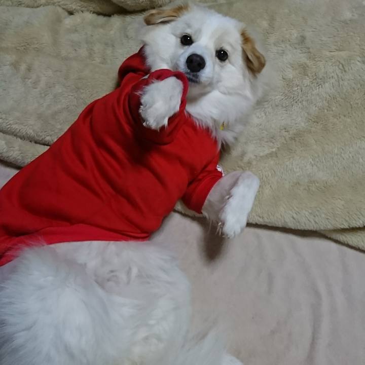 503c28ac fdd6 42e5 9aca 1926052a0594