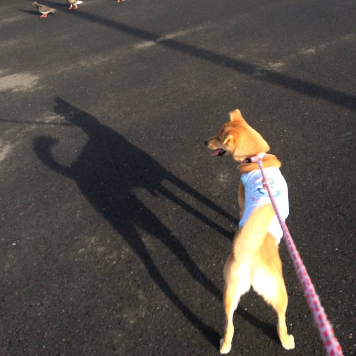 503cc0ca e371 429f ae91 0d73ccc046be