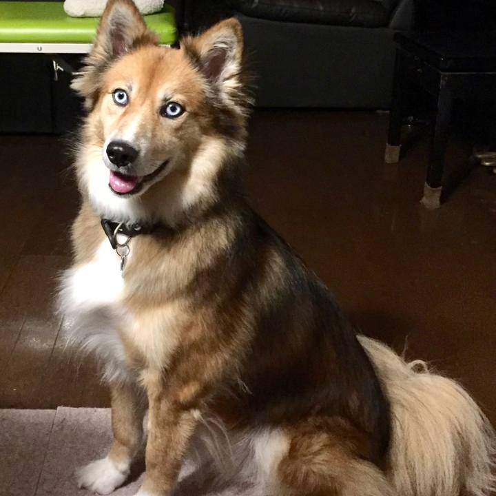 503d14ab fcd6 44a2 bcb5 a5bb3807d146