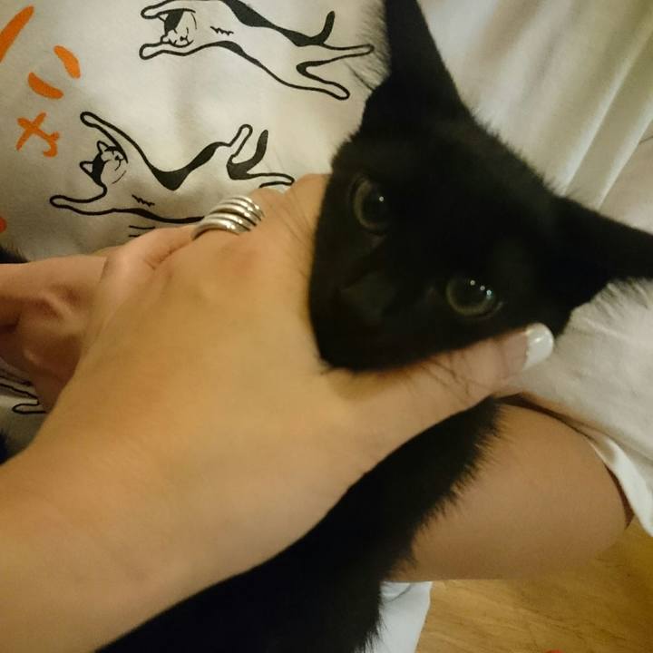 503d2bb7 c702 4a87 9de0 4aed2f31e526