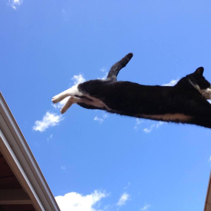 503d310e ece1 4142 8132 eeeff3cf1656