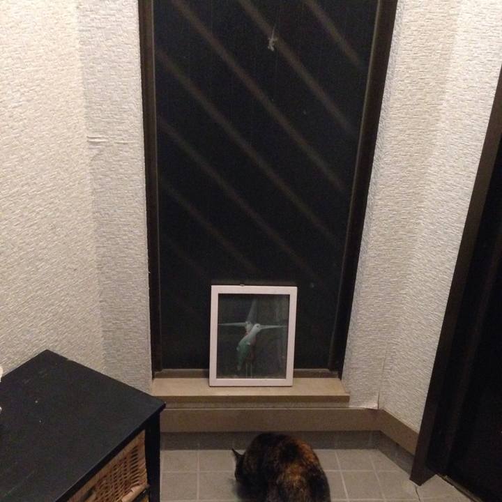 503d700b 2983 4110 9ed8 4dd83c61661e