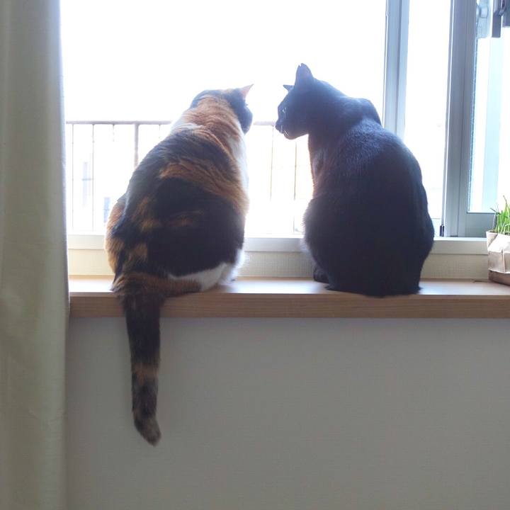 503ea109 47ea 4683 b04f 1cb1a1f4afdb