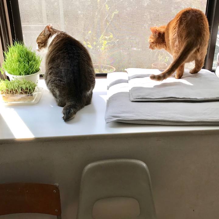 503fcc2b e625 44db 95bc 3362cbff49e2