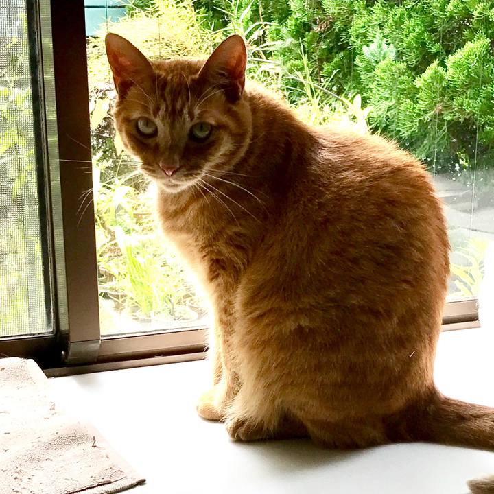 504240ae d3b8 4111 bd80 99b309cb968c