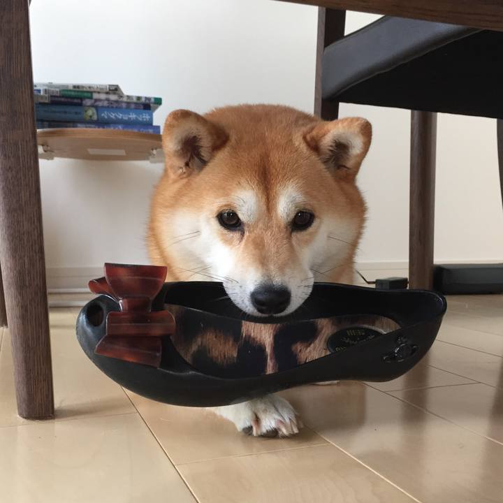 5043da22 ea3e 4cca 8a7c 9d0b69311388