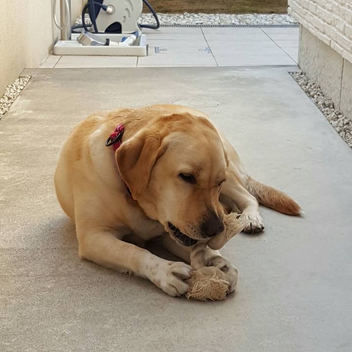 5043e090 f85c 49fc 84b5 a04d82bc884d